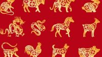 hio-horoskop-zodiak-china-astrologi-china