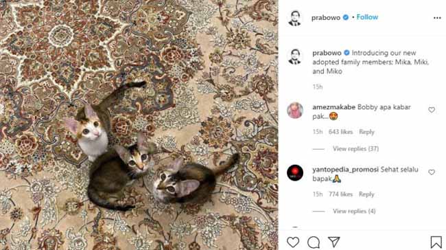Prabowo Subianto Adopsi 3 Anak Kucing