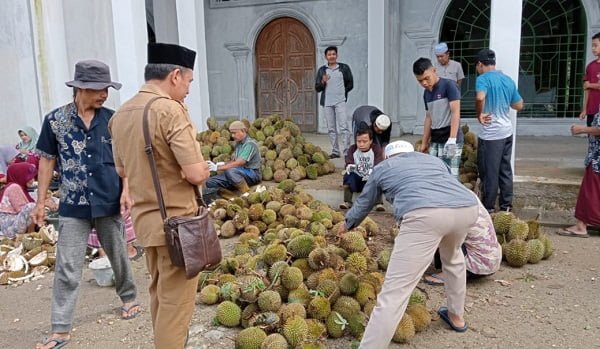 Warga Muaro Panco Barat Sumbangkan Ratusan Durian untuk Bangun Masjid